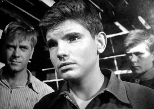 "Друг мой Колька" (реж. А. Митта, 1961) — фильм, частично легализовавший подростковые тайные общества